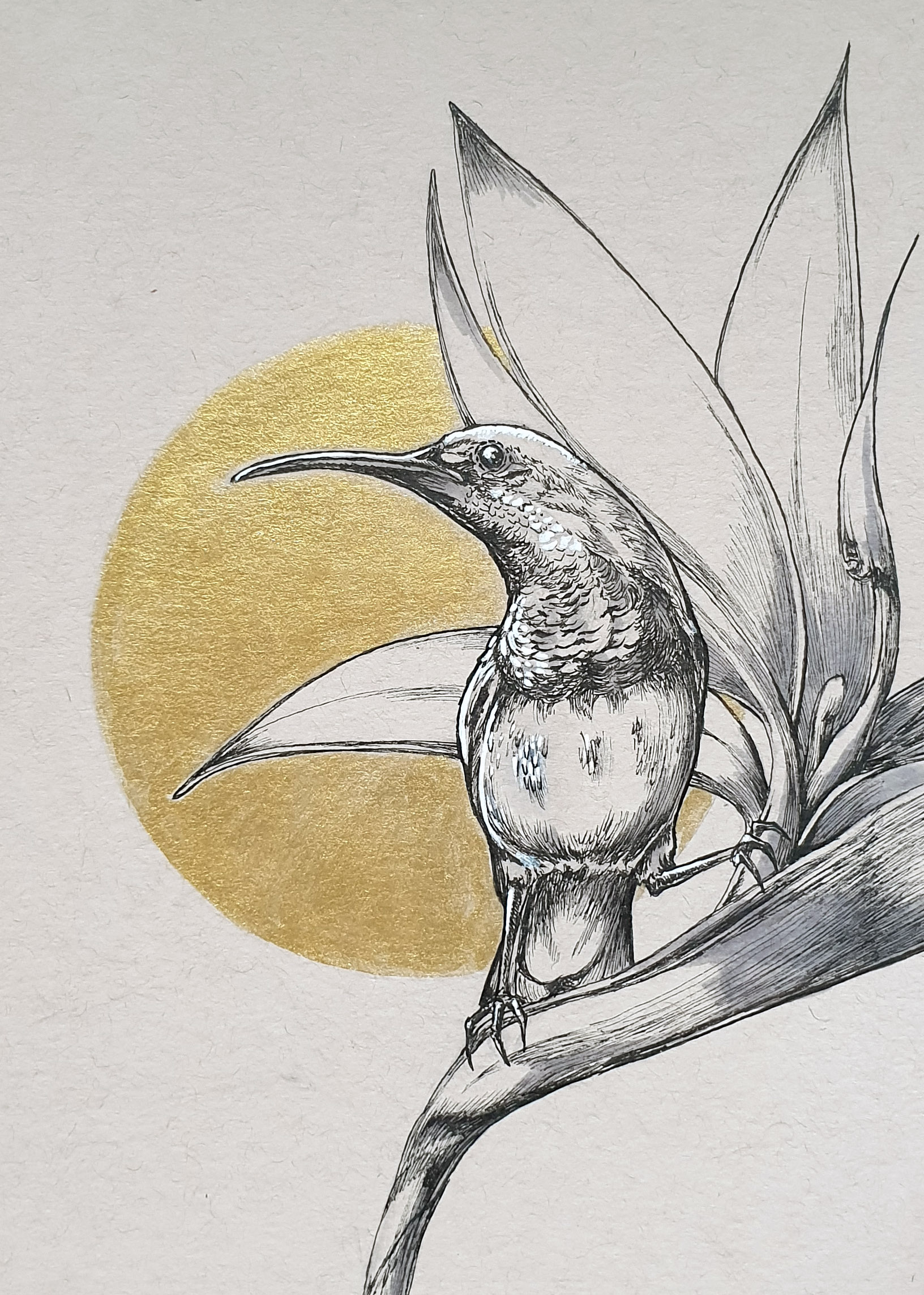 Day 1: Olive-backed Sunbird